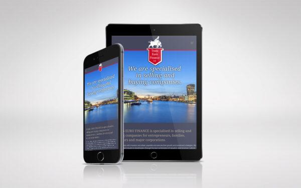 Trans Euro Finance Website