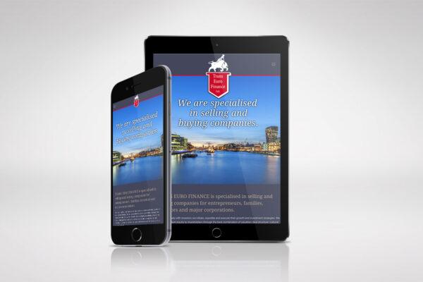 Trans Euro Finance Website